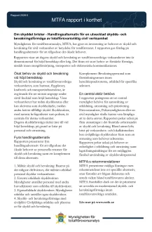 Rapport i korthet